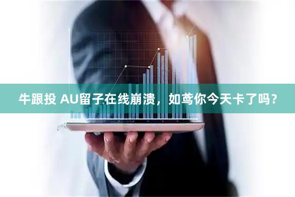 牛跟投 AU留子在线崩溃，如鸢你今天卡了吗？