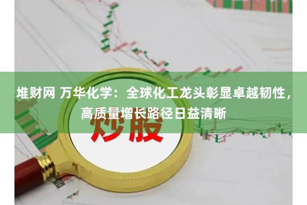 堆财网 万华化学:全球化工龙头彰显卓越韧性,高质量增长路径日益清晰