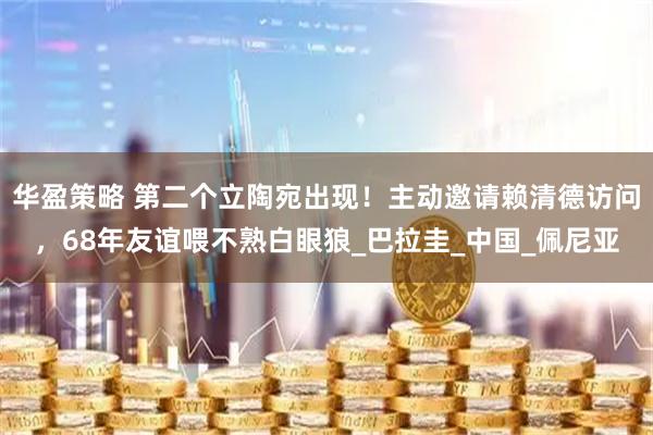 华盈策略 第二个立陶宛出现！主动邀请赖清德访问，68年友谊喂不熟白眼狼_巴拉圭_中国_佩尼亚